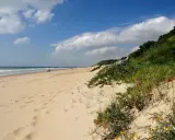 Sonniger Chiclana de la Frontera Strand mit Dünen, blühenden Pflanzen und dem Meer im Hintergrund.