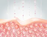Gocce rosa cadono su uno strato di pelle, nutrendo le sfere sottostanti. Un'immagine che illustra il mantenimento del ph della pelle.