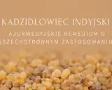 Kadzidłowiec: skutki uboczne? Zanim zażyjesz, poznaj ryzyko!