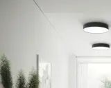 Nowoczesny korytarz z dwoma okrągłymi plafonami led 80 cm, roślinami i minimalistyczną sztuką.
