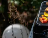 Grille ogrodowe Leroy Merlin: Jak wybrać idealny? Poradnik eksperta