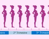 Siluetas moradas muestran la evolución del cuerpo de una mujer durante los meses de embarazo, desde el inicio hasta el nacimiento.