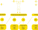 Diagram som visar hur man bedömer om en position är lämplig. Att vara sårbar betyder att man inte uppfyller grundförutsättningarna.