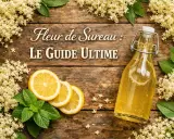 Fleurs de sureau : le guide ultime. Découvrez les bienfaits de cette plante aux multiples vertus, avec une bouteille de sirop, des citrons et de la menthe.