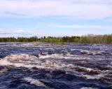 Forsande vatten i Tornedalen. En karta över området skulle visa hur denna mäktiga älv slingrar sig genom landskapet.
