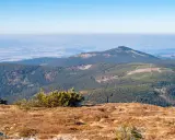 Widok z trasy na Śnieżnik. Góry pokryte lasem, na horyzoncie widać doliny i kolejne pasma górskie.