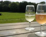 Två glas med bubbel står på ett träbord med utsikt över ett fält och skog. Ett av glasen är märkt "Skepparps Vingård".