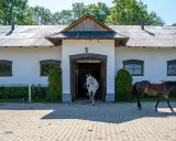 Stadnina Koni Opypy: Wszystko, co musisz wiedzieć przed wizytą