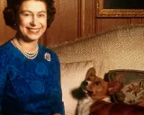 Królowa Elżbieta uśmiecha się, siedząc obok swojego wiernego psa rasy corgi.