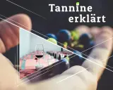Ein Glas Rotwein und Trauben in einer Hand, daneben Fässer. "Tannine erklärt" – die Essenz des Weins.
