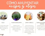Consejos para ahuyentar avispas: usa velas, plantas como lavanda, limón y cebolla, o esencia de almendras amargas.
