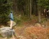 Mężczyzna w zielonej kurtce stoi na skale, podziwiając leśne **szlaki Gór Stołowych**.