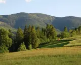 Piękna, słoneczna **pogoda** na **Babiej Górze**. W oddali widać lasy, a na zboczu pasą się krowy. W tle majaczy szczyt.