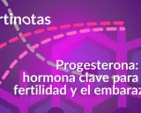 Progesterona: la hormona clave para la fertilidad y el embarazo. El texto "fertinotas" aparece en la parte superior.