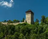 Kamienny zamek na wzgórzu, otoczony zielenią, z polską flagą powiewającą na wietrze. To malowniczy widok na Muszynę-Zdrój.