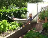 Un homme se repose dans un hamac, entouré de son potager florissant. Il a bien mérité cette pause après avoir passé du temps à faire un potager.