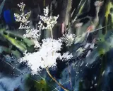 Vattenfärgsmålning av vita blommor i mörkgrönt, där tekniken att måla vått i vått ger en drömsk känsla.