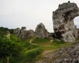 Skałki wapienne i ruiny zamku na tle zieleni tworzą malowniczy krajobraz Jury Krakowsko-Częstochowskiej.