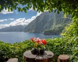 Ein idyllischer Ausblick auf Madeira: üppige Vegetation, das blaue Meer und steile, grüne Berge. Was muss man auf Madeira gesehen haben? Diese Aussicht ist ein Muss!