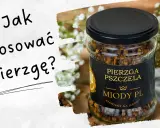 Jak zażywać pierzgę? Odkryj sekrety pełnej przyswajalności