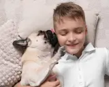 Chłopiec leży z zamkniętymi oczami, a mops go liże. Może to jego sposób na powiedzenie "czemu pies mnie liże", czyli "kocham cię".