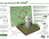 Jak się znaleźć w lesie? Słupki oddziałowe z numerami pomogą Cię zlokalizować, gdy będziesz chciał zanocuj w lesie.