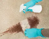 Rękawiczki i spray do czyszczenia dywanu. Dowiedz się, czym zmyć pastę do butów, by przywrócić czystość.