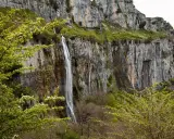 Impresionante cascada en el nacimiento del río Asón, cayendo por un acantilado rocoso cubierto de vegetación verde y flores blancas.
