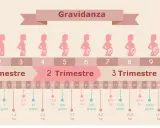 Illustrazione dei mesi gravidanza, con sagome di donne incinte e dati su crescita del feto.