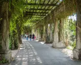 Pergola porośnięta bluszczem, spacerujący ludzie. Jedna z urokliwych wrocławskich atrakcji.