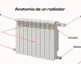 Diagrama de las partes de un radiador: purgador, válvula, carcasa, detendor, reductor/tubería y elementos radiantes.