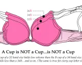 Illustrazione di reggiseni rosa sovrapposti che mostra come la taglia reggiseno 34 a cosa corrisponde in termini di volume della coppa rispetto ad altre taglie.