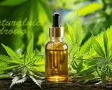 Naturalny olejek CBD, który zawiera kannabinoidy. Co to jest? To ekstrakt z konopi, który wspiera zdrowie.