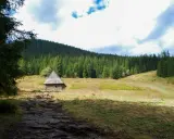 Kamienna ścieżka prowadzi do drewnianej chatki w Dolinie Olczyskiej. Trasa przez las i polanę.