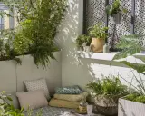 Un coin détente sur un balcon avec une plante brise-vue qui pousse vite en bac, des coussins et des plantes vertes.