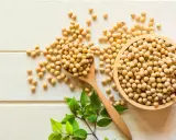 Granos de soja en cuchara y cuenco de madera. Aunque las isoflavonas de soja engordan, son un alimento nutritivo.