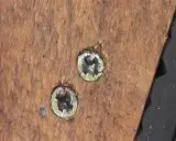 Dos tornillos pasados de rosca en madera. Aprende como quitar un tornillo pasado de rosca en metal con estos consejos.