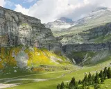 Majestuoso valle de Ordesa con cascada, acantilados cubiertos de flores amarillas y pinos. La cola de caballo de Ordesa cae en la distancia.
