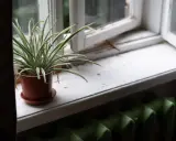 Zielona kaloryfer pod białym, zniszczonym parapetem. Roślina w doniczce czeka na pomysł, jak poszerzyć parapet, by zyskać więcej miejsca.
