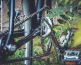 Zbliżenie na rowerowy mechanizm korbowy i łańcuch. Jak zmierzyć linię łańcucha? Widoczne zębatki, pedał i liście.