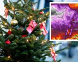 Weihnachtsbaum mit Lichtern und Kugeln, daneben eine Wetterkarte mit Europa.