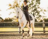 Eine Reiterin in Reithose und Helm reitet ein weißes Pferd im **Halsring reiten**.