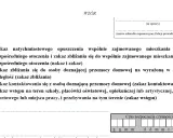 Zakaz zbliżania się Policji: Jak działa i chroni przed przemocą?