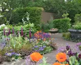 En vacker rabatt med lupiner, vallmo och andra blommor. Perfekt inspiration för att planera rabatt.