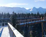 Ścieżka w koronach drzew zimą, widok na ośnieżone Tatry. Jak dojechać z Zakopanego?