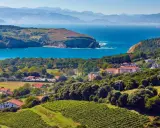 Viñedos y casas con tejados rojos se extienden hasta la costa vasca, un paisaje que evoca el sabor del chacolí de Bilbao.