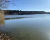 Spokojne jezioro Osieczna z trzcinami na brzegu i lasem w tle.