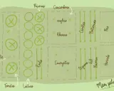 Plan potager débutant : tomates, laitues, poivrons, concombres, courgettes, carottes, betteraves, pois, oignons, ail, poireau, haricots, basilic et radis.