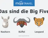 Die Big Five Afrikas: Löwe, Nashorn, Büffel, Leopard und Elefant als Illustrationen.