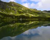 Zielony staw gąsienicowy w Tatrach odbija skaliste zbocza gór porośnięte trawą i kosodrzewiną.